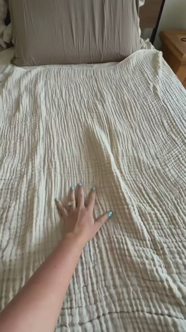 Video 1